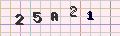 visual captcha
